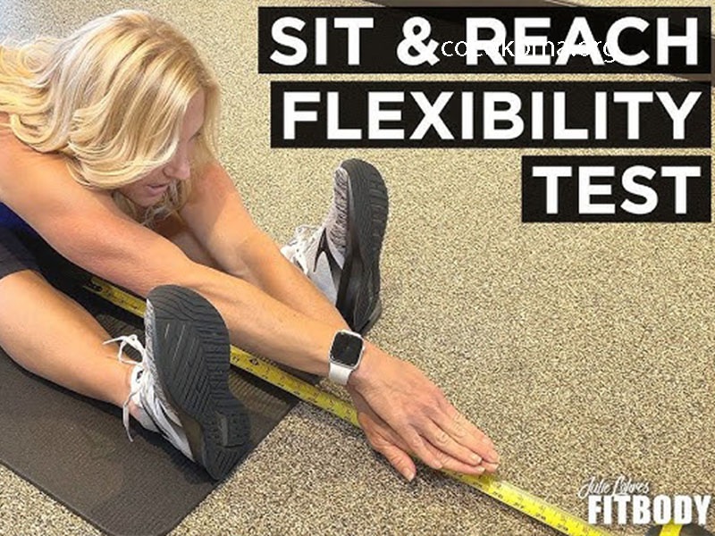 The Sit & Reach Test Measures What Health-Related Fitness Component?